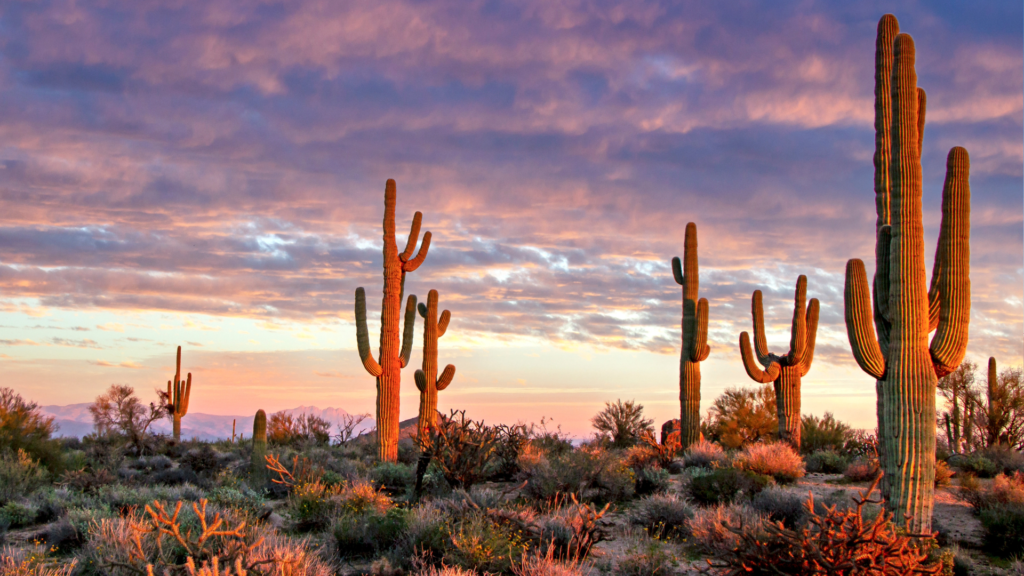 Arizona Scenery Wallpaper